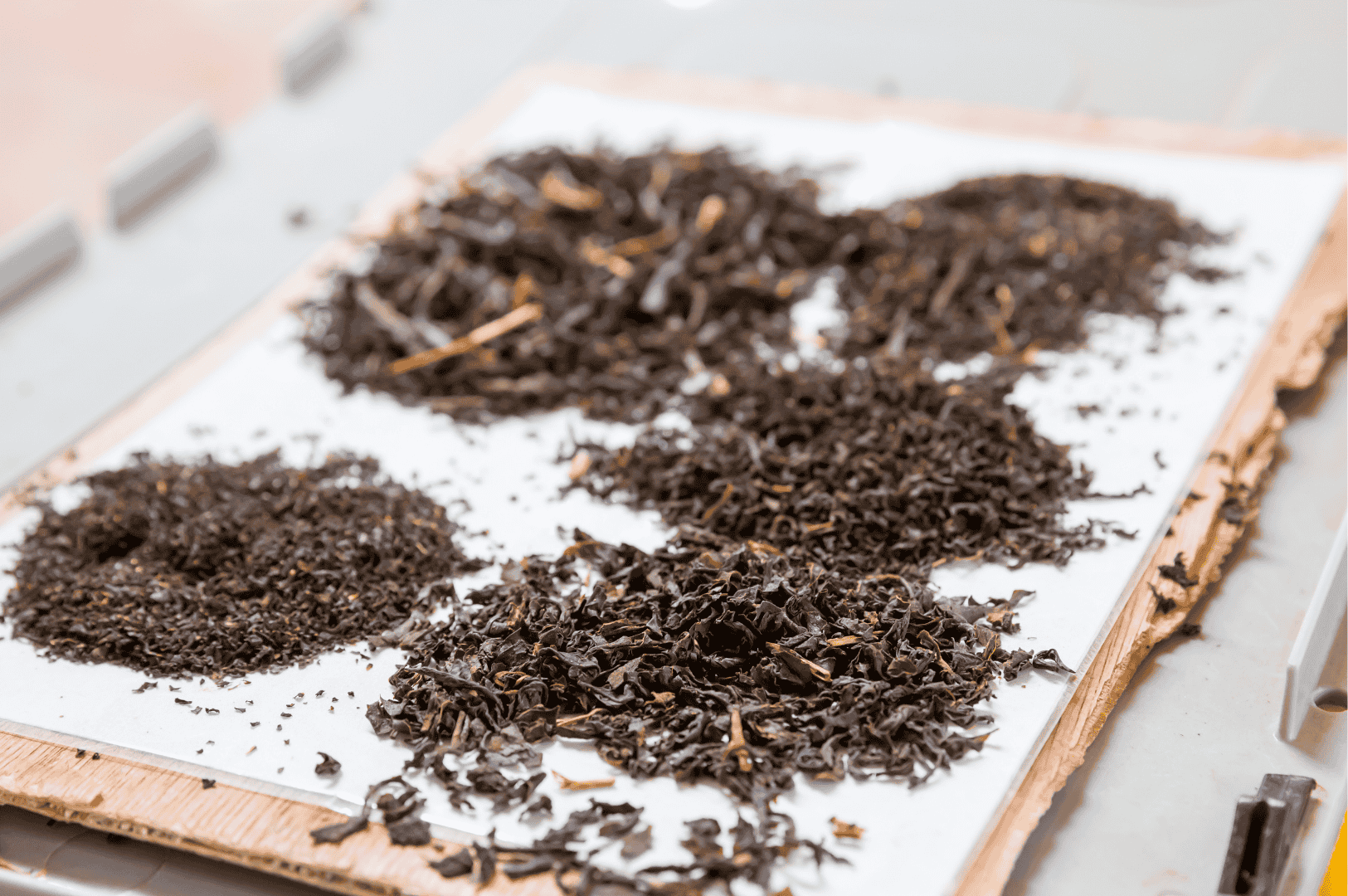 Six varieties of dried Ceylon high grown tea leaves from Nuwara Eliya displayed on white paper for comparison, showing differences in color, texture, and leaf size that contribute to the region’s bright, crisp flavor profiles.