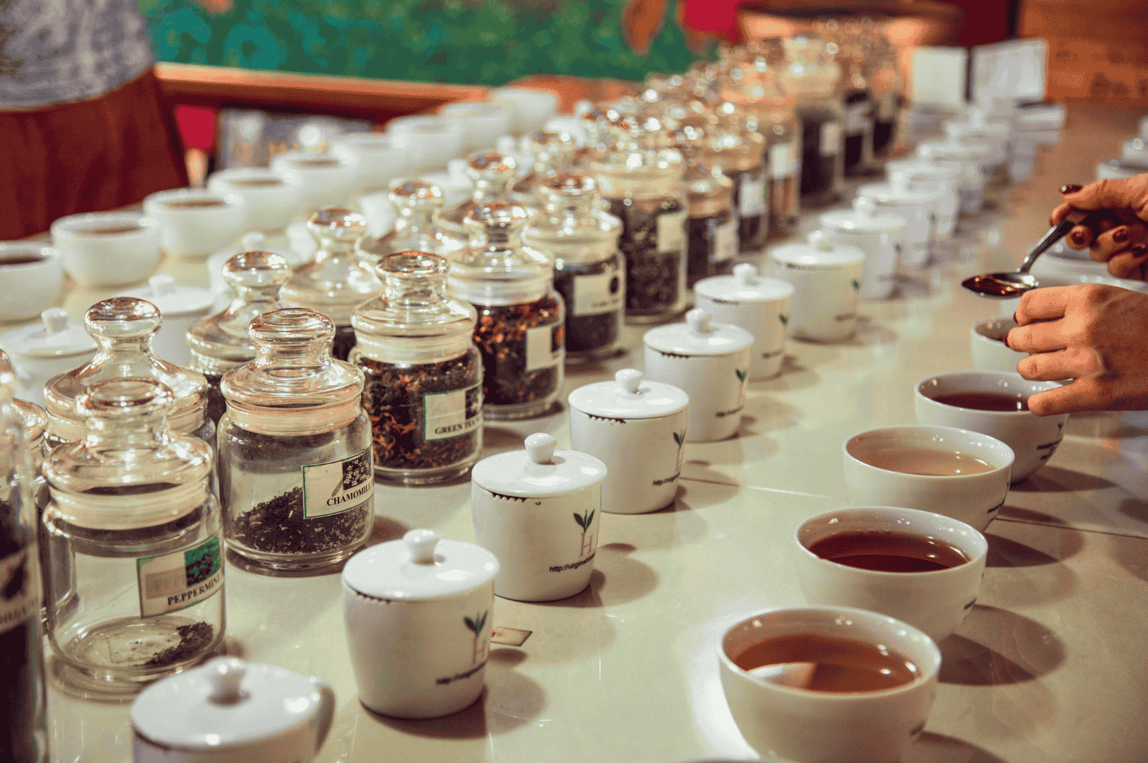 Professional tea tasting of Ceylon high grown tea from Nuwara Eliya, with glass jars of loose leaf varieties and white ceramic cups of brewed tea, as a taster uses a spoon to evaluate the region’s bright, crisp flavor profiles.