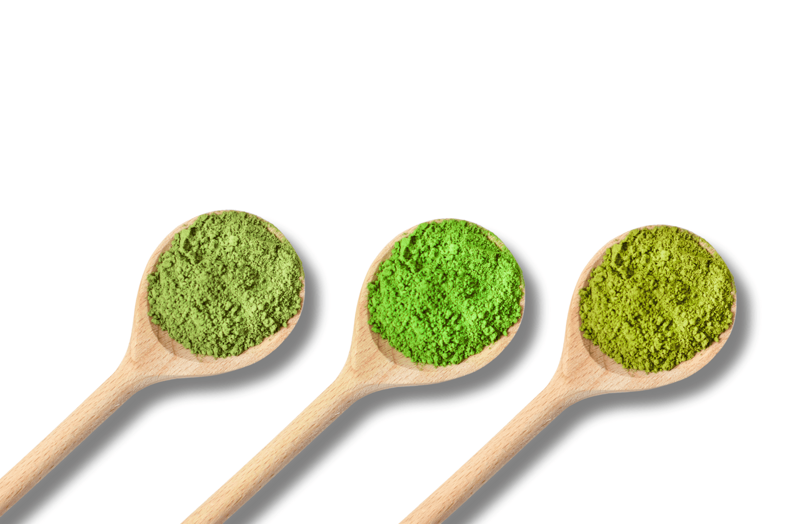 Three wooden spoons filled with vibrant green powder showcase different grades of matcha tea, from culinary grade matcha to ceremonial grade matcha powder, highlighting the vibrant green color, texture, and shade that define high quality matcha. This visual comparison of matcha powder—including naoki matcha and other japanese green tea brands—illustrates how matcha grades are determined based on tea leaves, tea plants, first harvest, particle size, and form. Ceremonial matcha, often stone ground and produced in Japan, is used in tea ceremonies led by tea masters, offering umami taste, sweet notes, and strong flavor when mixed with hot water. Culinary grade matcha, with its bitter edge, is ideal for baking, cooking, desserts, smoothies, and matcha lattes blended with milk, sugar, or sweetener. This image reflects how not all matcha is equal—good matcha and superior ceremonial matcha differ in quality, green color, bitterness, and flavor, making it a versatile tea and beverage alternative to coffee. Whether drinking green tea or exploring sencha, culinary, or highest grade options, japanese tea culture celebrates the beauty of shade-grown matcha, steamed and crafted under sunlight, with each brand offering a unique taste experience.