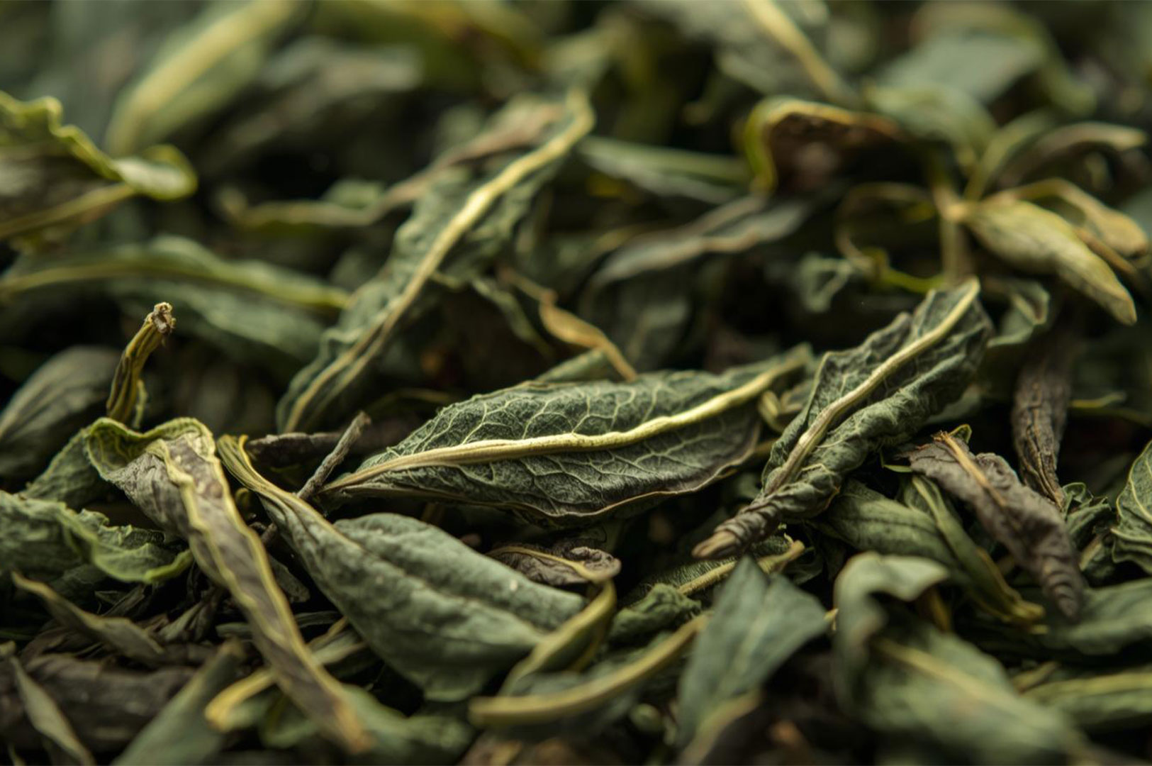 Extreme close-up of textured, dark green and brownish dried tea leaves, showing the detailed veins and varying textures.