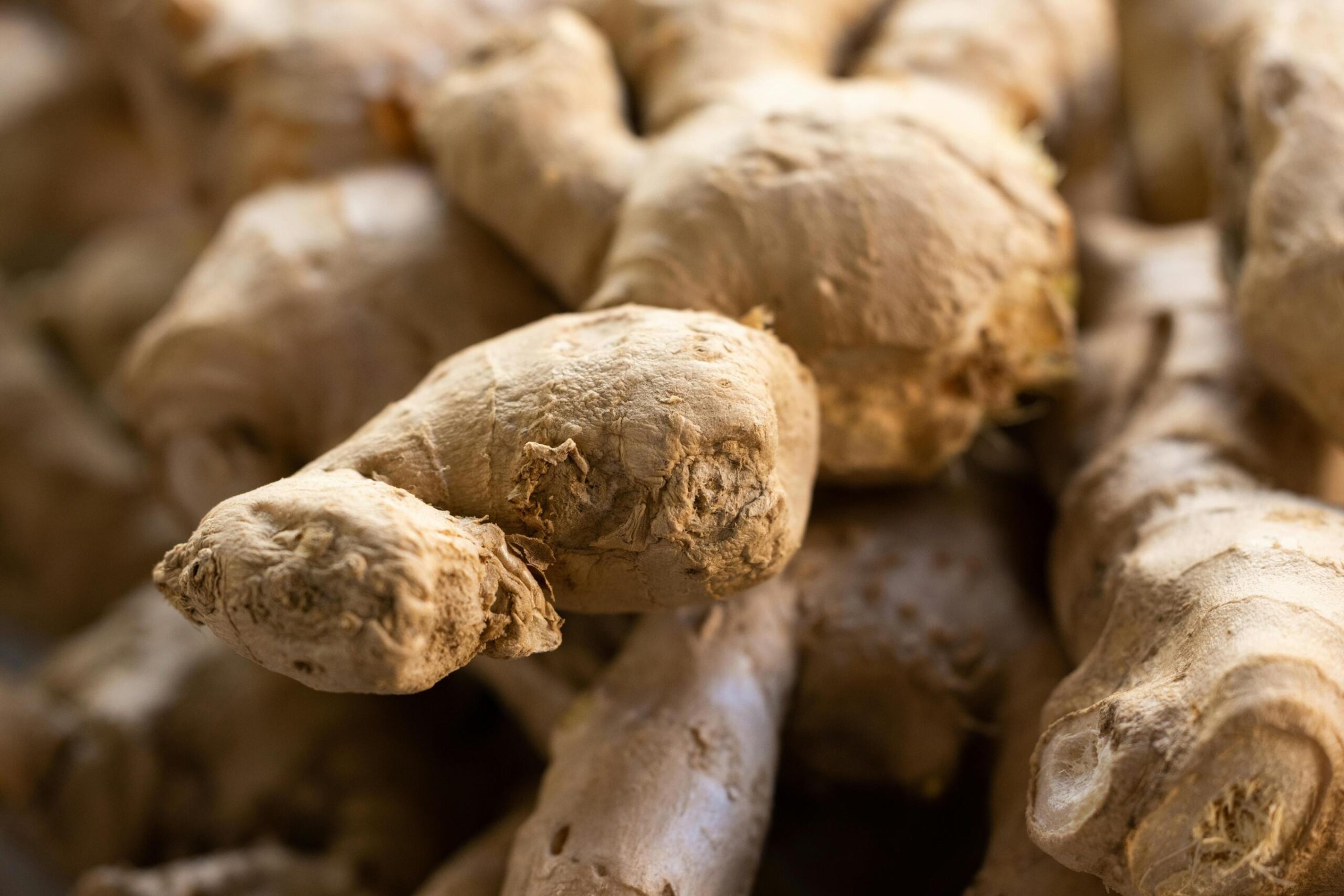 An extreme close-up captures a pile of raw, textured ginger roots with their characteristic knobby shapes and thin, light brown skin.