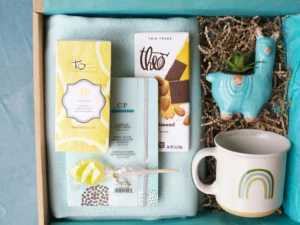 This care package is thoughtfully arranged with a light blue blanket, a notebook, lemon tea, almond chocolate, and a small lollipop. A charming llama-shaped planter and a white mug featuring a green rainbow add a cheerful touch to the gift box.