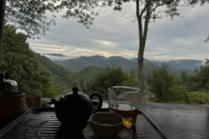 A striking, wide-angle shot showcases a traditional tea set arranged on a dark wooden slatted tray in the foreground, set against a breathtaking backdrop of rolling green mountains under a moody, overcast sky. On the tray, a silhouette of a dark ceramic teapot sits next to a small ceramic teacup on a saucer and a clear glass pitcher filled with amber-colored tea, catching the soft, diffused daylight. The view opens up from a rustic, sheltered terrace framed by silhouetted tree branches above, overlooking a vast valley where low-hanging clouds and mist nestle between the mountain ridges at dusk, evoking a profound sense of tranquility and mindful isolation.