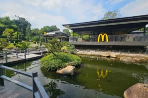 A wide daytime view of a dark-timber, Japanese-style McDonald's pavilion featuring the iconic golden arches along its balcony railing, situated beside a calm green pond with a small landscaped island, wooden footbridges, and lush surrounding foliage under a bright sky.