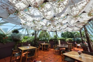 An indoor-outdoor restaurant dining room beneath a glass dome structure, filled with lush garden foliage and wood tables with woven chairs over terracotta tiles, shaded by soft, draped white fabric suspended across the ceiling.